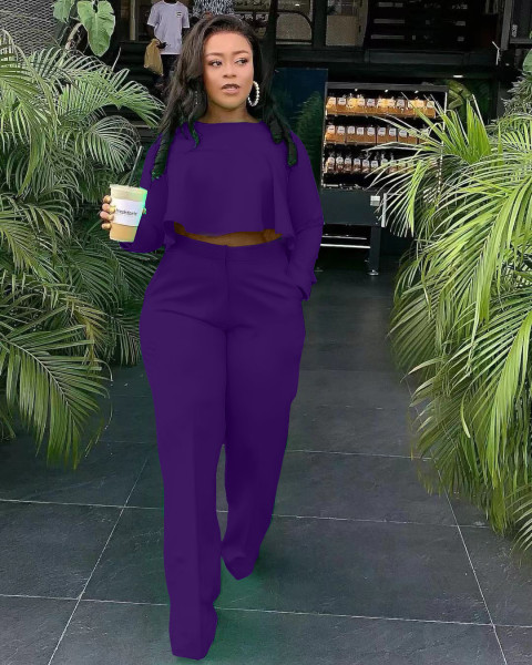 Autumn and winter new style, short front and long back, fashion back, pleated solid color, wide-legged stand-alone two-piece set D8454