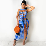 Fashionable Painted Net Yarn Perspective Hollow Bandage Irregular Split Dress X5105