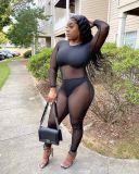 Sexy net yarn transparent one-piece nightclub clothes foreign trade women's clothing T3037