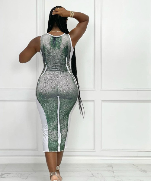 Women's clothing autumn new style bag hip skirt sexy body print slim dress FFD1135