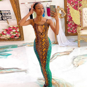Women's Fall 2021 New Snake Print Contrast Color Halter Hollow Backless Dress R21DS465