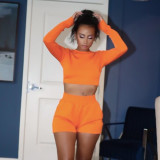 Women's Fall 2021 New Solid Color Round Neck Long Sleeve Hollow Halter Sweater Set R21ST456