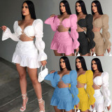 Ladies Fashion Lantern Sleeve Pleated Skirt Two Piece Set ALS267