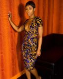 Dress Color leaf print deep V slim bag hip nightclub skirt F296