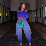 Gradient casual zipper loose jumpsuit AC9115
