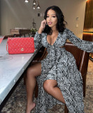 2021 Fall New Fashion Sexy Hollow Elegant Beach Dress Python Pattern Split Long Skirt G0427