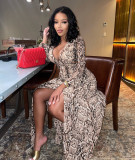 2021 Fall New Fashion Sexy Hollow Elegant Beach Dress Python Pattern Split Long Skirt G0427