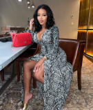 2021 Fall New Fashion Sexy Hollow Elegant Beach Dress Python Pattern Split Long Skirt G0427