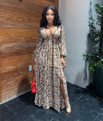 2021 Fall New Fashion Sexy Hollow Elegant Beach Dress Python Pattern Split Long Skirt G0427