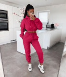 Autumn and winter plus fleece hooded sweater casual two-piece suit L279