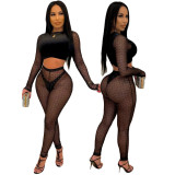 Net yarn flocking solid color fashion sexy two-piece women's suit F169-2