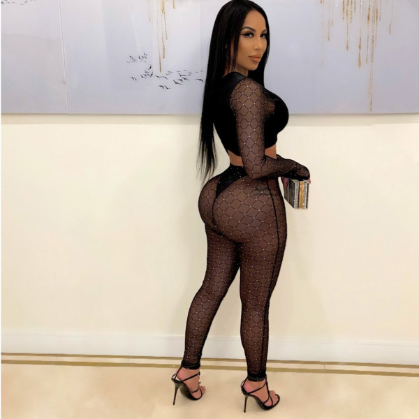 Net yarn flocking solid color fashion sexy two-piece women's suit F169-2