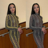 Hot Rhinestone See-through Slim Long Sleeve Dress Nightclub Dress VK2230