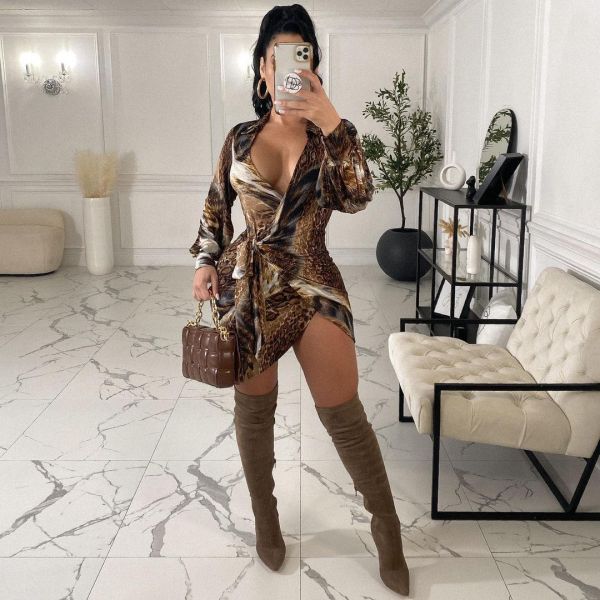 Women's Fashion Casual Printed Dress OMM1285