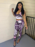 Women's spring and summer new casual suit hot sale vest dollar printed pants suit QS5046