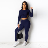 Women's 2021 new source pit strip halter leisure two-piece suit D88139