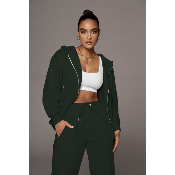 Women's 2021 fall new double-sided velvet fabric fashion sports solid color suit D88135