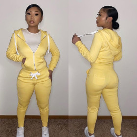 Women's autumn and winter new fleece sweater sports and leisure suit thickened zipper hooded two-piece suit F179