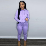 Autumn and winter plus fleece hooded sweater two-piece casual sports suit women F175