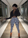 Women's new fashion sexy tight-fitting printing two-piece suit FE197