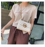 Lingge chain bag women's bag 2021 autumn and winter new fashion one-shoulder underarm bag net red texture diagonal bag