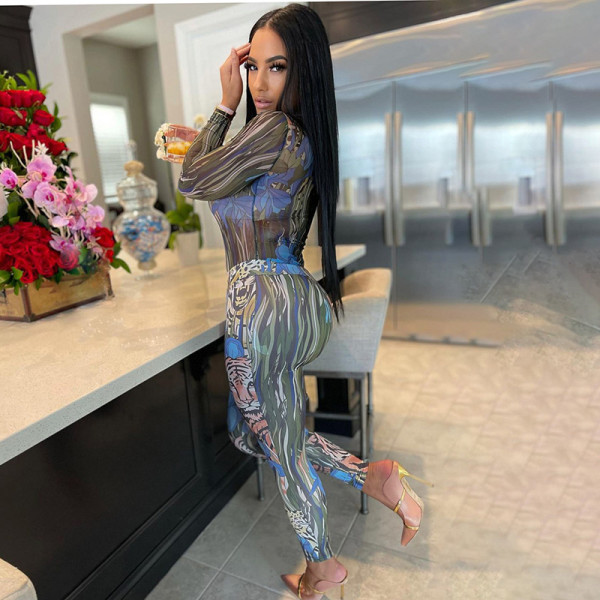 Women's winter tiger head leopard head long-sleeved hollow one-piece see-through trousers and mesh suit women