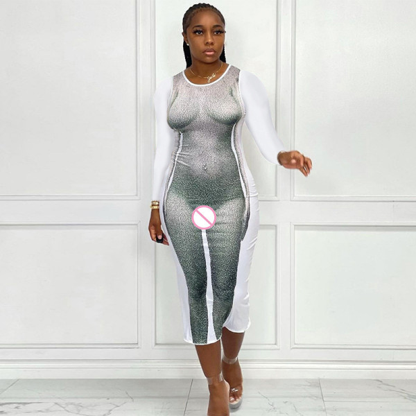 2021 Summer Women's New Fashion 3D Body Print Round Neck Long Sleeve European Style Slim Dress