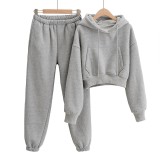Autumn and winter models plus velvet pocket hooded short sweater women + solid color high waist loose leggings harem trousers two-piece suit
