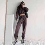 Street Hooded Short Pocket Spring and Autumn Sweater High Waist Loose Foot Sweat Pants Set