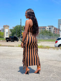 New temperament casual dress with fringed breasts on both sides
