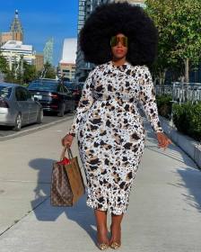 Women's Fashion Printed Plus Size Long Sleeve Round Neck Dress