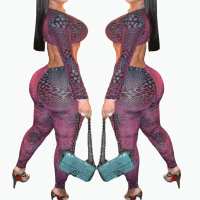 Women's spring and autumn sexy long-sleeved pattern print jumpsuit