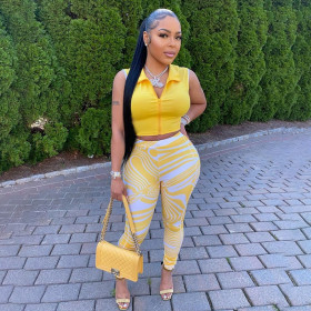 Autumn women's new style solid color lapel sleeveless top and high waist printed trousers suit