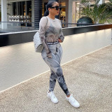 Explosive style mesh printed blouse milk silk printed trousers two-piece suit