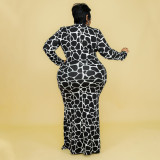 Fashion Sexy Round Neck Long Sleeve Large Size Dress Printed Ladies Long Dress