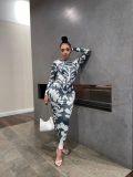Explosive Pattern Long Sleeve Printed Slim Sexy Open Back Ladies Long Dress