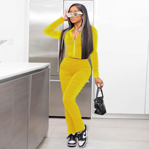 Fashion women's hot style velvet solid color pleated pile sleeves pile pile pants two-piece suit