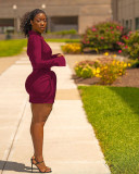 Cute fashion solid color shirt dress