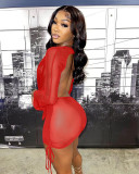 Sexy long-sleeved deep V mesh suit
