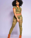 New fashion sexy mesh printing two-piece suit