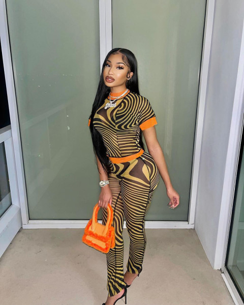 New fashion sexy mesh printing two-piece suit