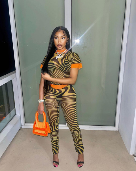New fashion sexy mesh printing two-piece suit
