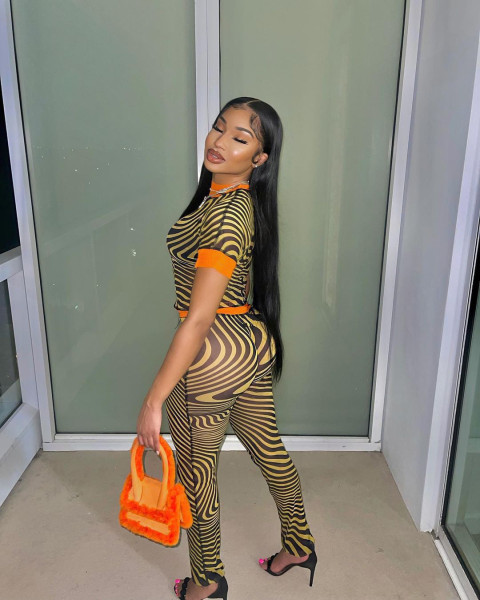 New fashion sexy mesh printing two-piece suit