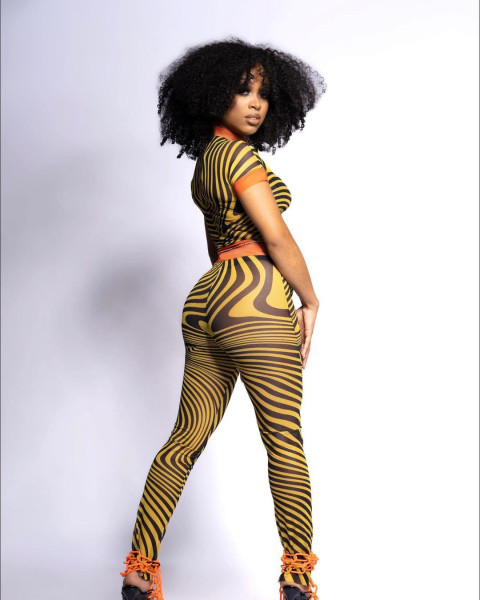 New fashion sexy mesh printing two-piece suit