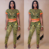 New fashion sexy mesh printing two-piece suit