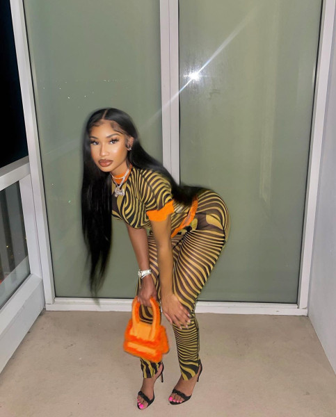 New fashion sexy mesh printing two-piece suit
