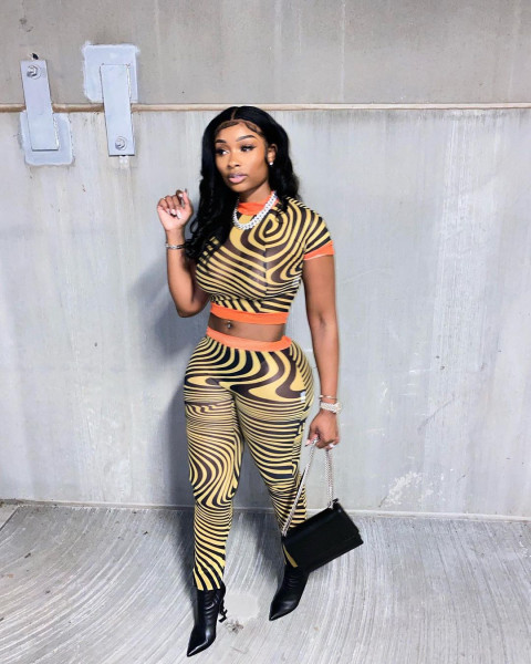 New fashion sexy mesh printing two-piece suit