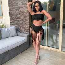Women's fashion sexy high waist tassel two-piece swimsuit Women's fashion sexy high waist tassel two-piece swimsuit