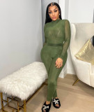 Hot style mesh print trousers two-piece set