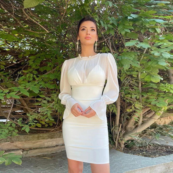 Winter new women's bell sleeves fungus edge stand collar fashion design slim temperament dress